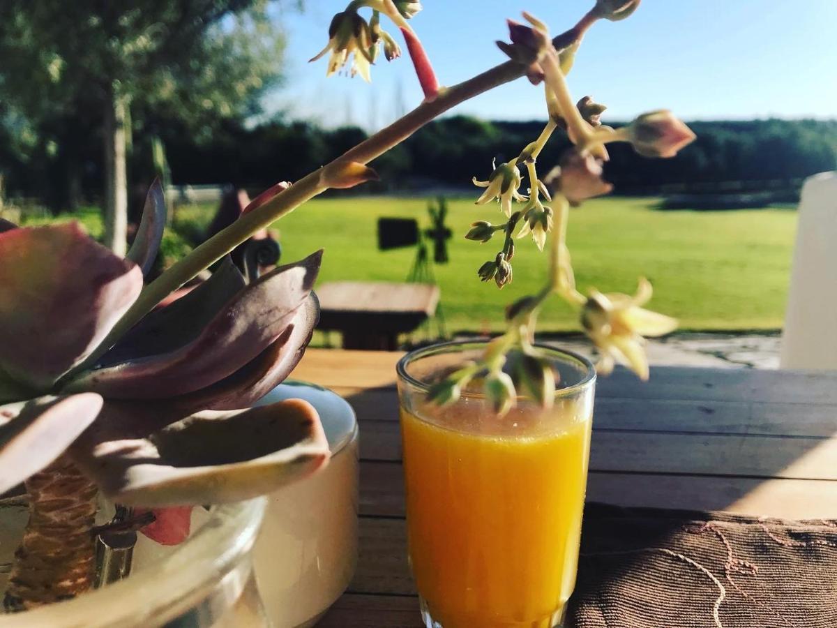 Olive Grove Guest Farm Villa Beaufort West Bagian luar foto