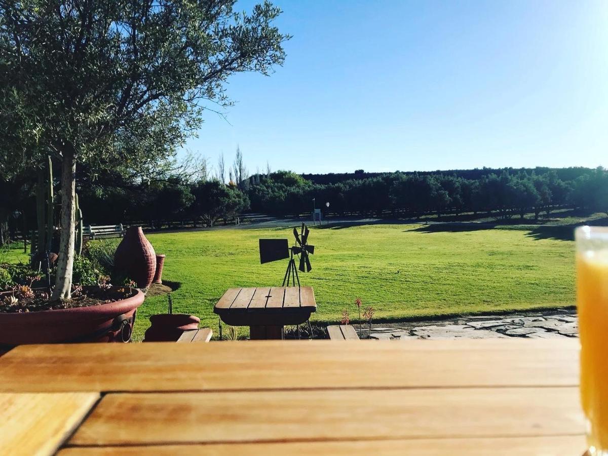 Olive Grove Guest Farm Villa Beaufort West Bagian luar foto