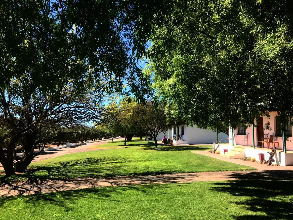 Olive Grove Guest Farm Villa Beaufort West Bagian luar foto