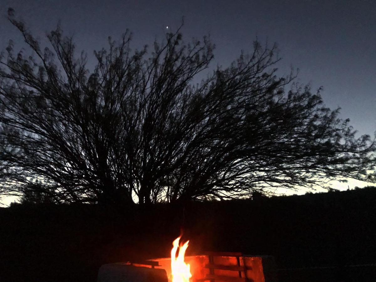 Olive Grove Guest Farm Villa Beaufort West Bagian luar foto
