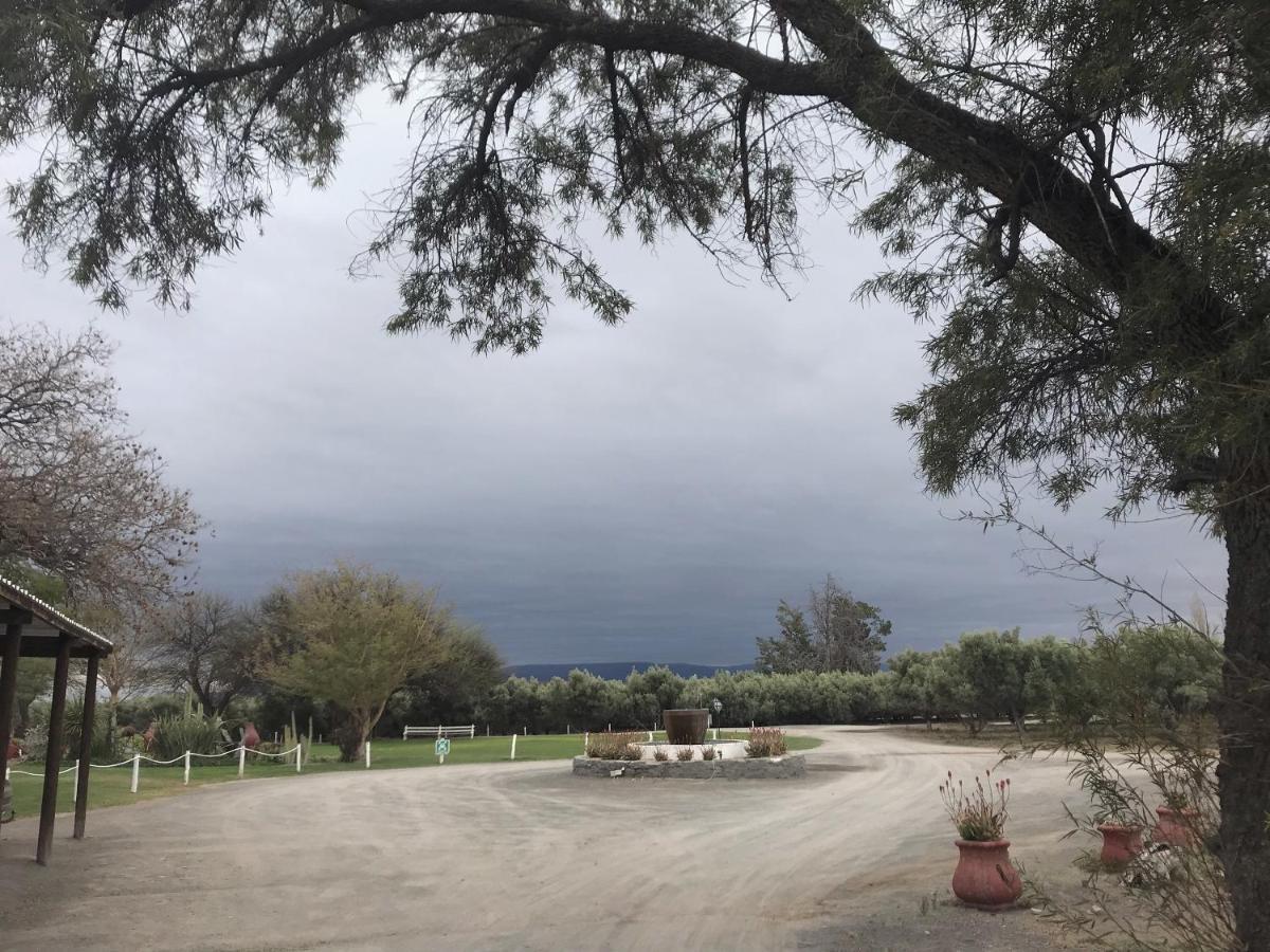 Olive Grove Guest Farm Villa Beaufort West Bagian luar foto