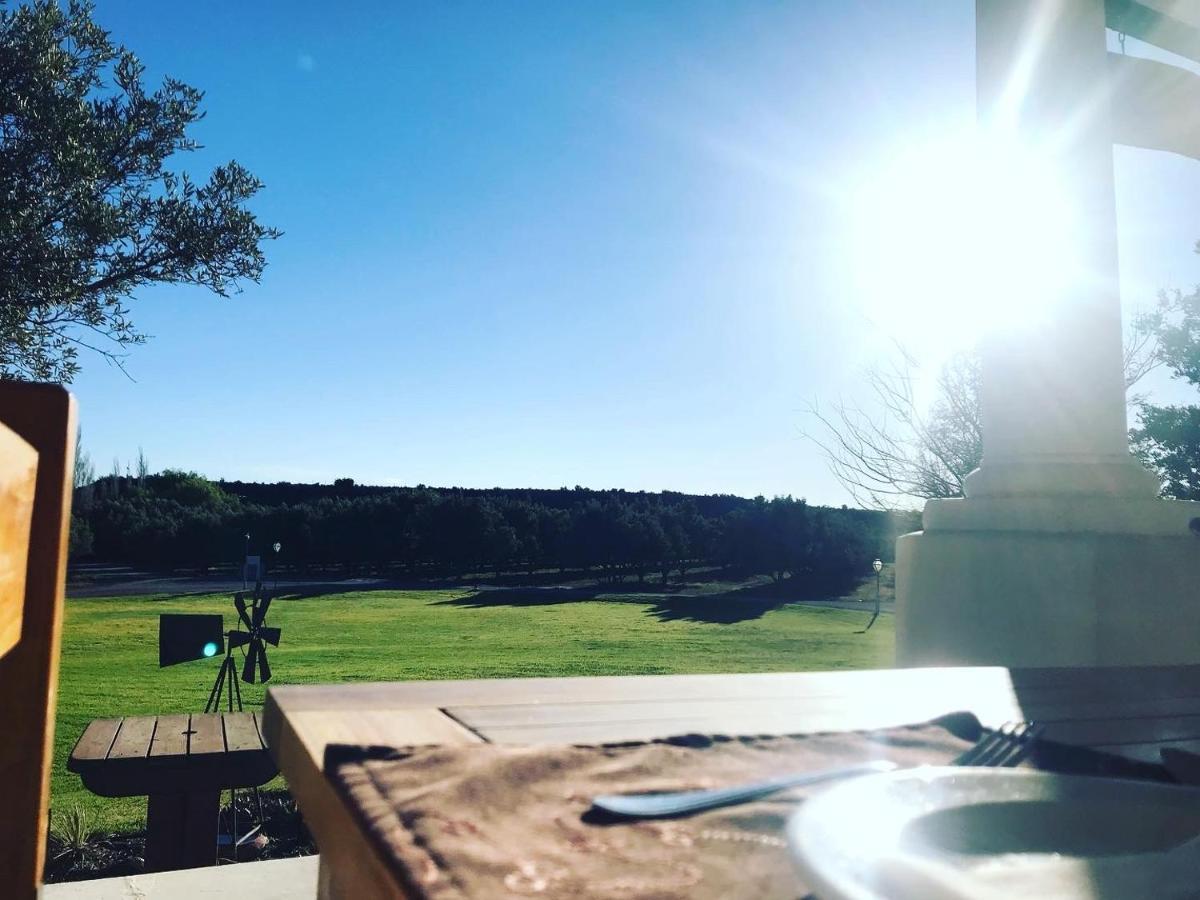 Olive Grove Guest Farm Villa Beaufort West Bagian luar foto