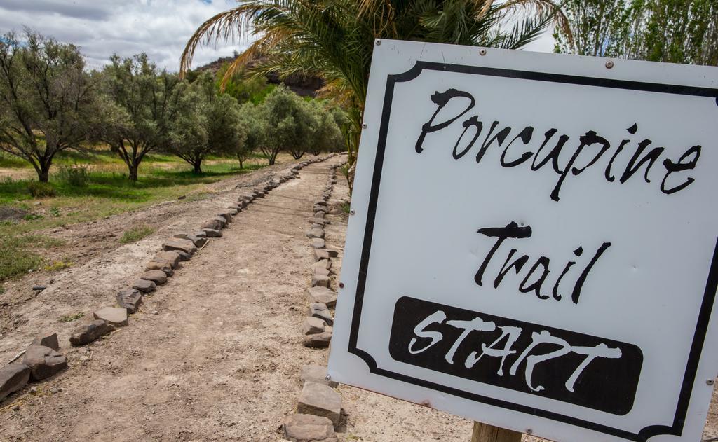 Olive Grove Guest Farm Villa Beaufort West Bagian luar foto