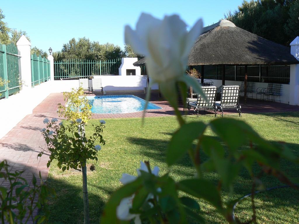 Olive Grove Guest Farm Villa Beaufort West Ruang foto