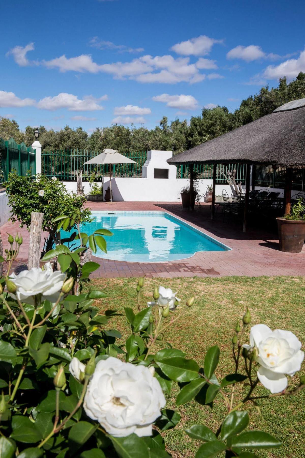 Olive Grove Guest Farm Villa Beaufort West Bagian luar foto