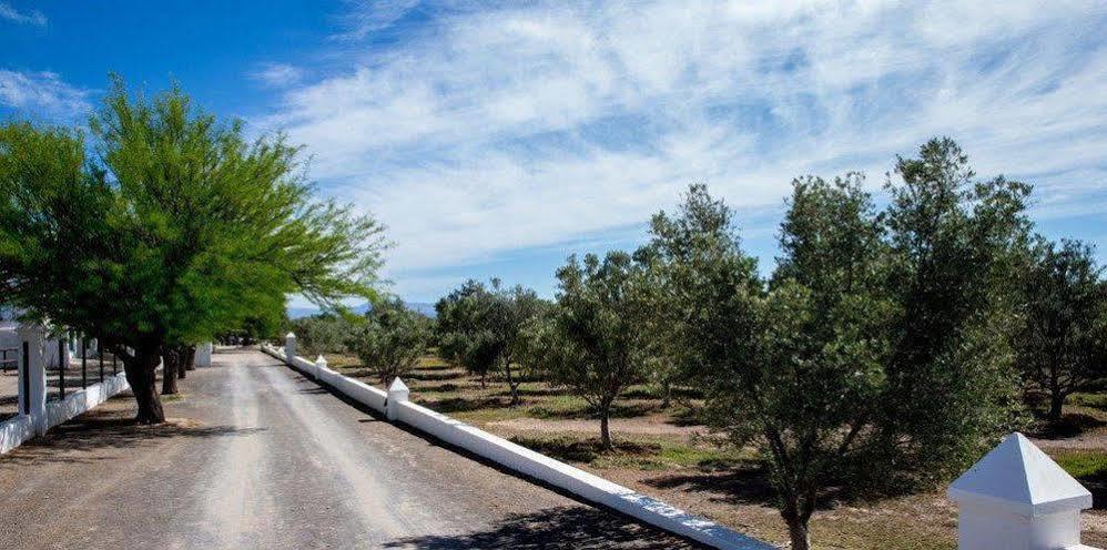 Olive Grove Guest Farm Villa Beaufort West Bagian luar foto